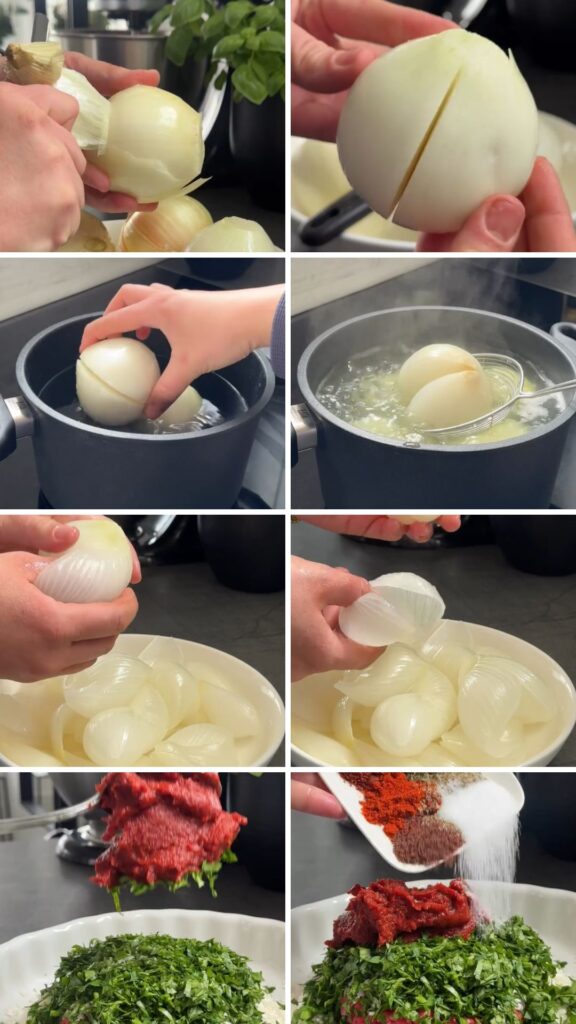 Stuffed Onions Recipe
