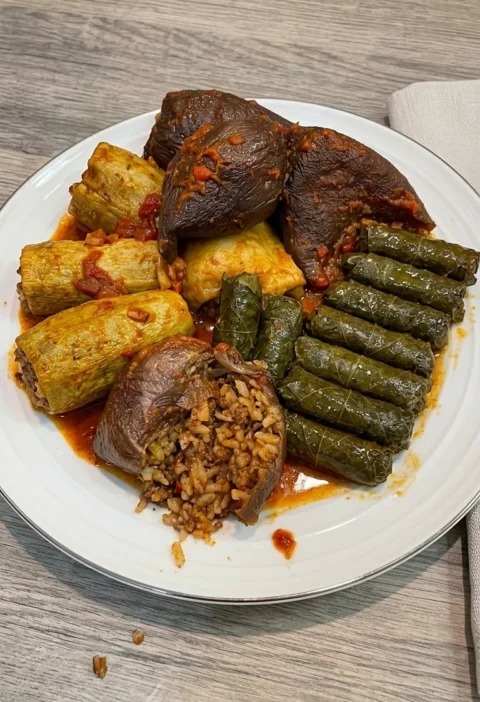 Stuffed dried vegetable dolma with eggplant zucchini and grape leaf rolls on a white plate