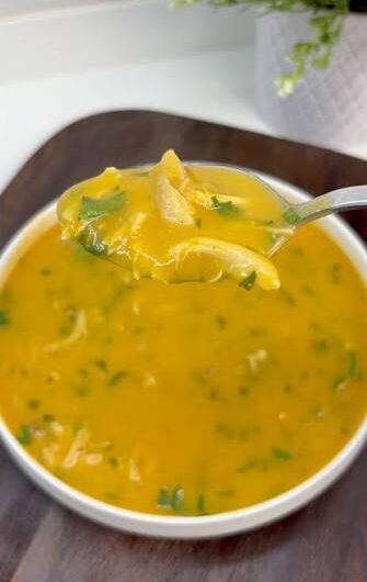 Rich Turkish Chicken and Vegetable Soup