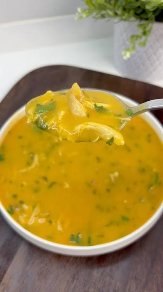 Rich Turkish Chicken and Vegetable Soup